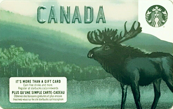 Canadian Moose