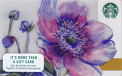 Poppies - 10 Card Lot