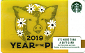 Year of The Pig 2019